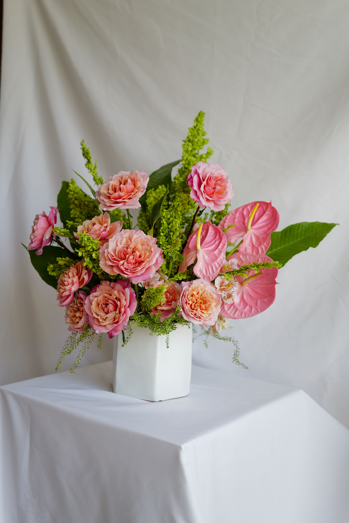 Rosa