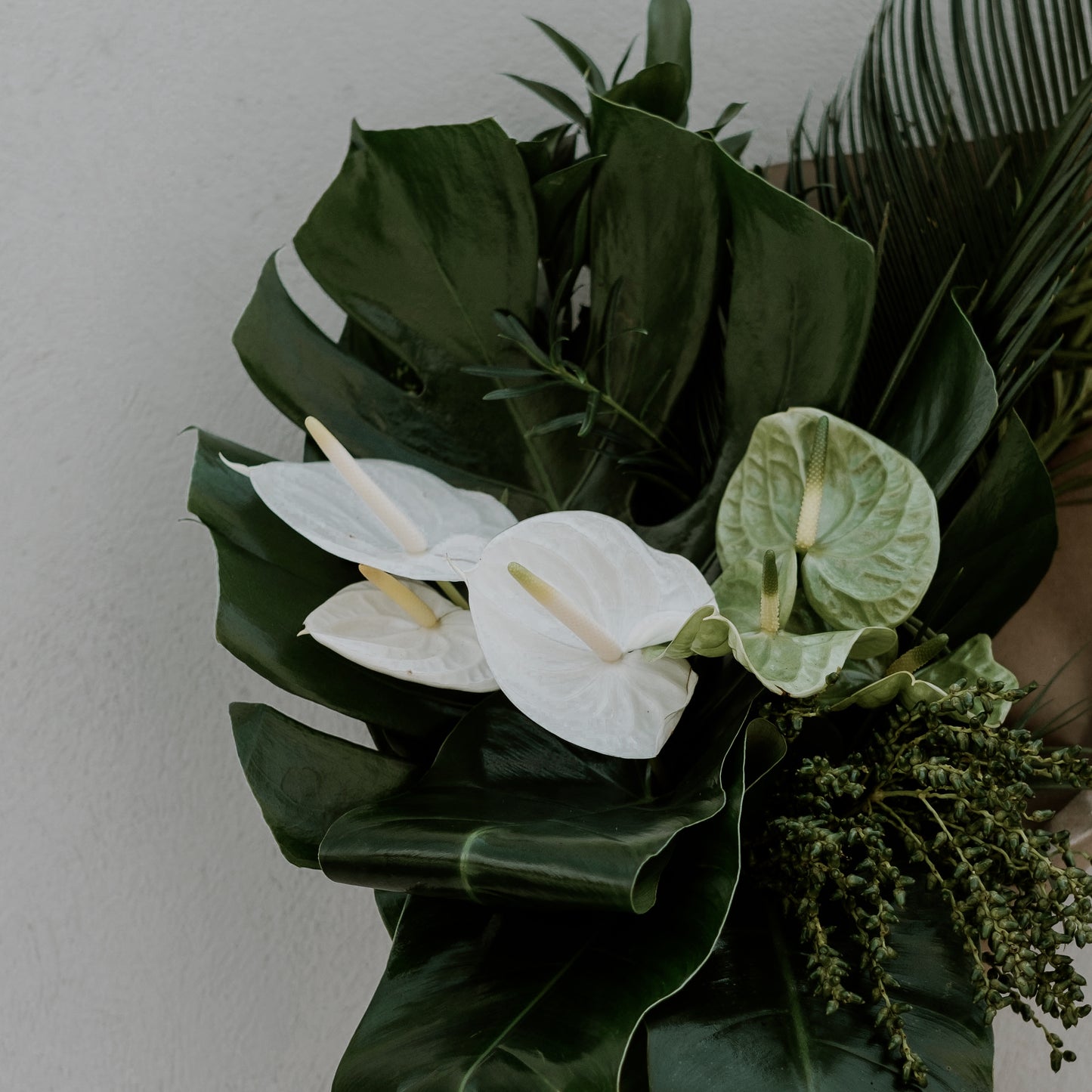 Membresía Premium Lum Flores