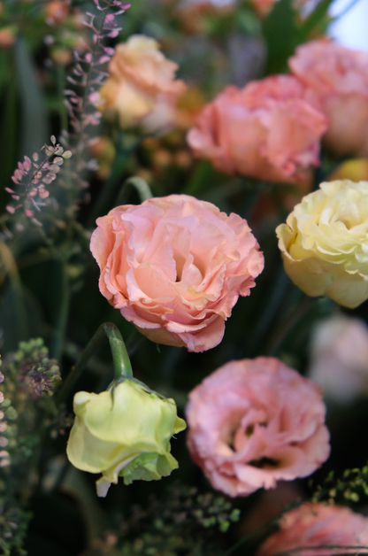 Membresía Premium Lum Flores