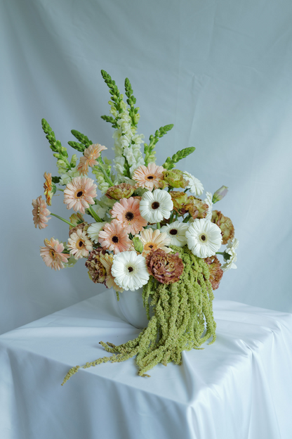 Gerbera