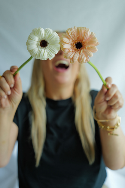 Gerbera