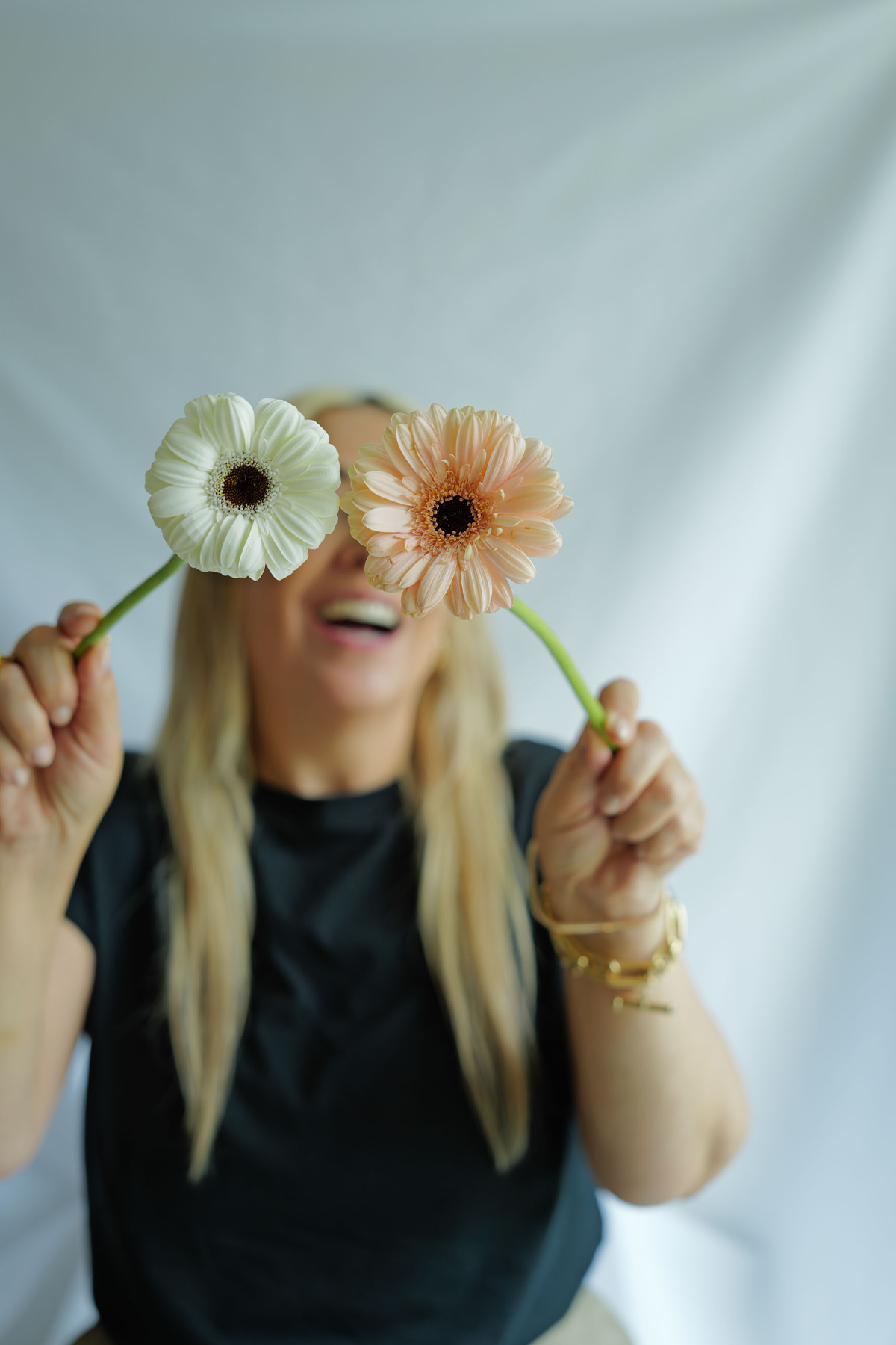 Gerbera