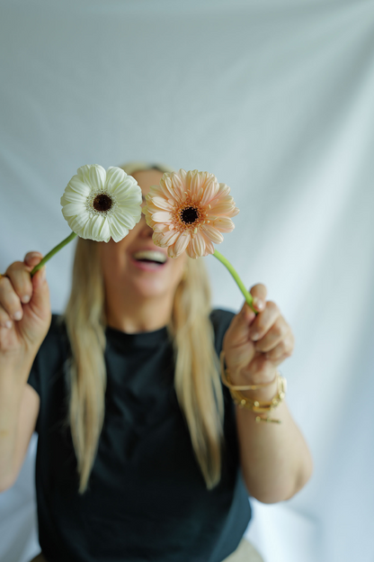 Gerbera