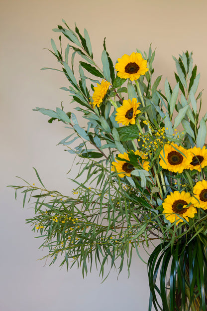 Membresía Premium Lum Flores