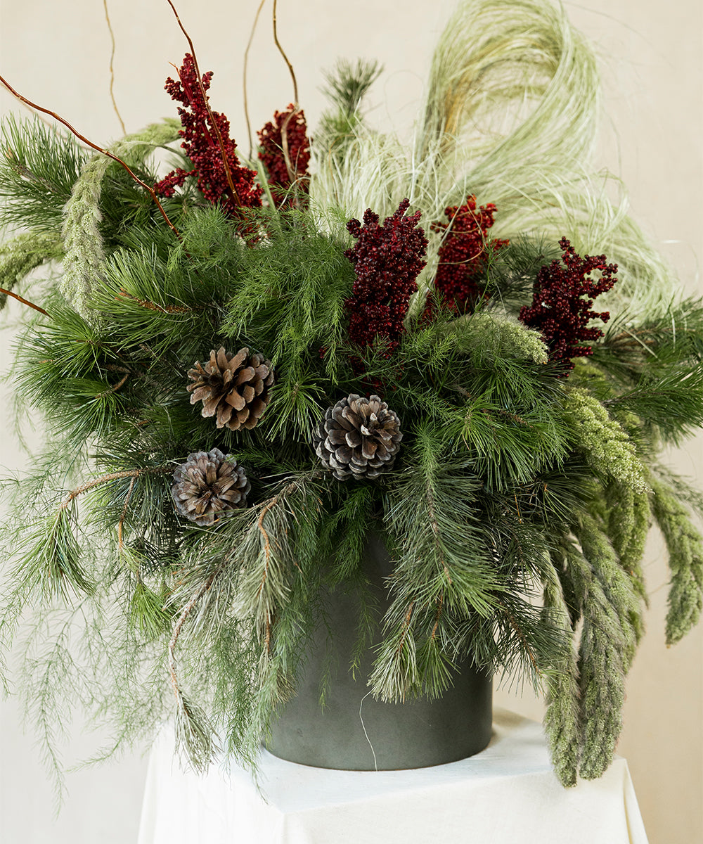 Arreglo Mezcla Invernal