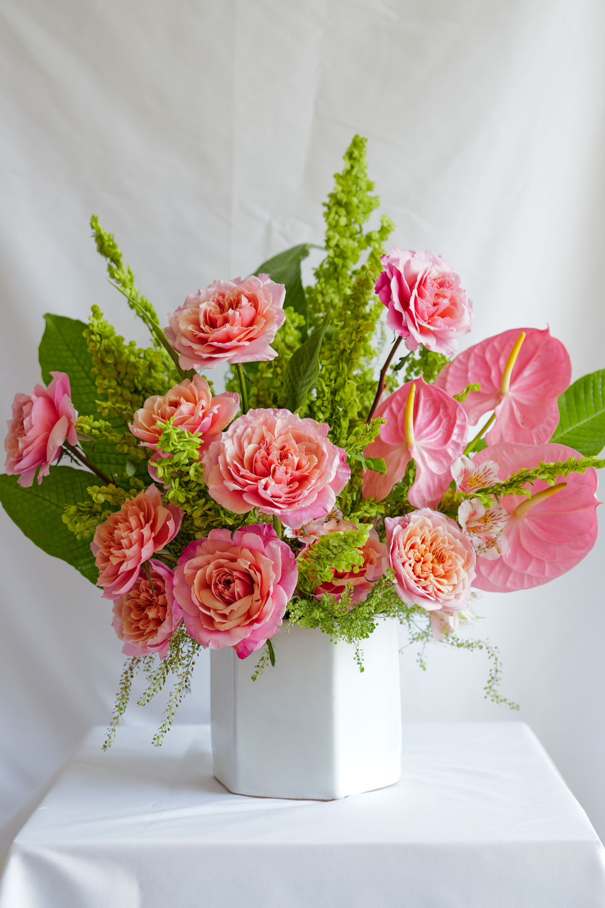 Rosa