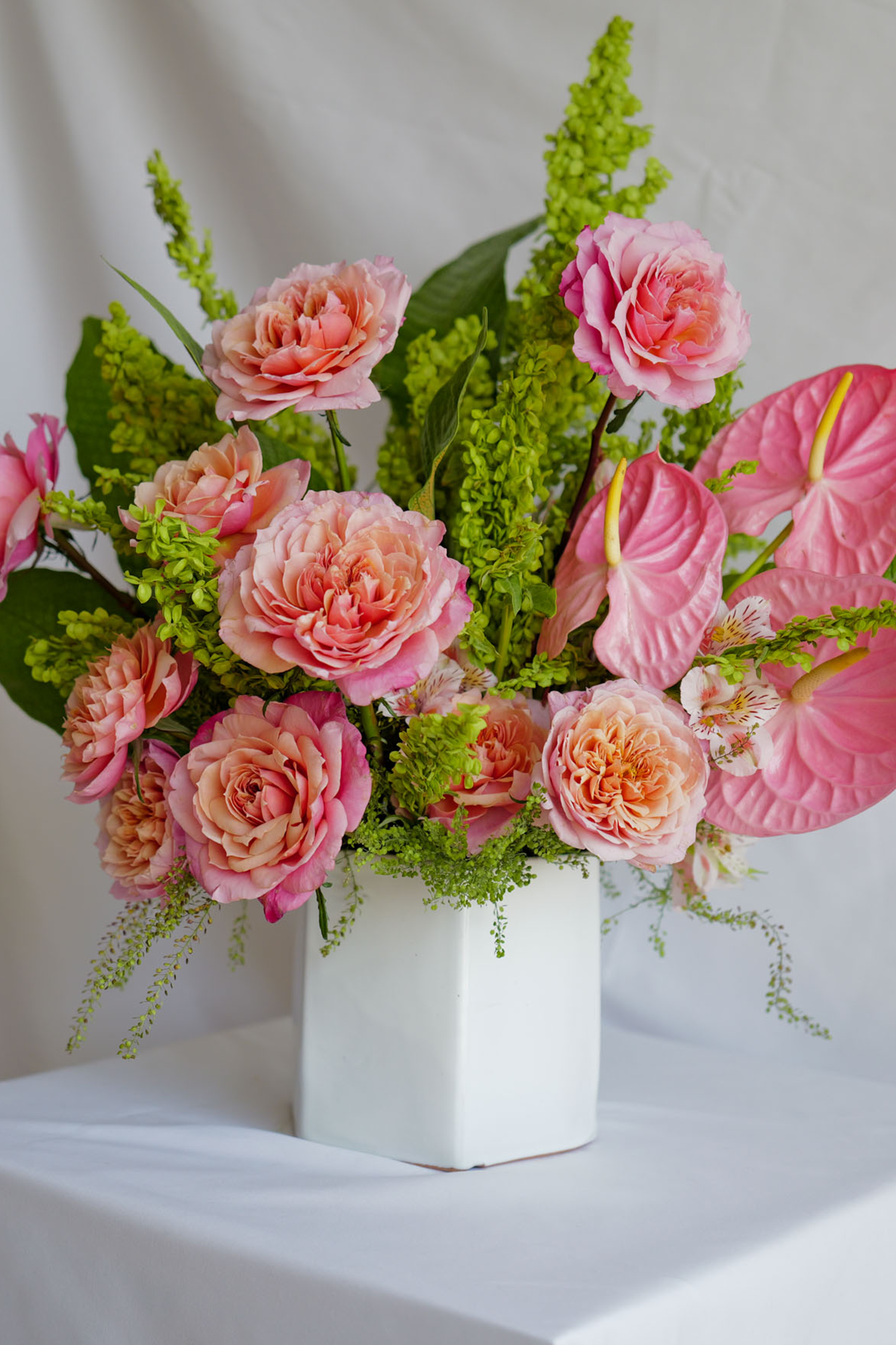 Rosa