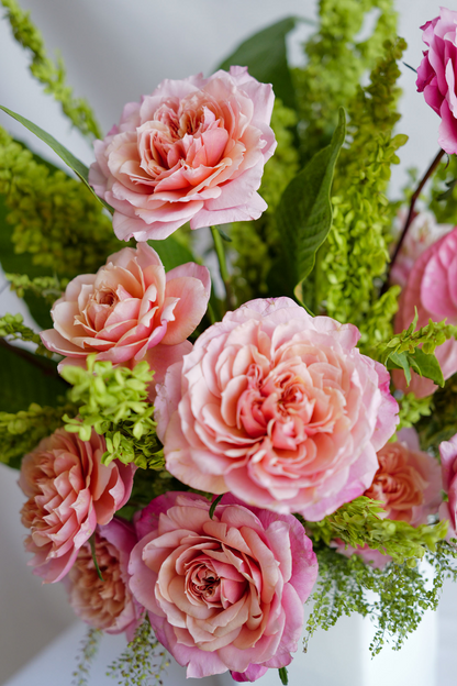 Rosa